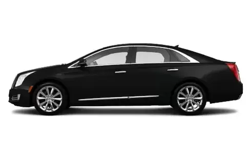 CAREY Limousine car service